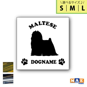 yIׂ3TCYIz⃁bLJ[ hbOVGbg JbeBOXebJ[ ꖳ }`[Y   V[ l[ ybg  킢 O }G[NXIWi DS-43m