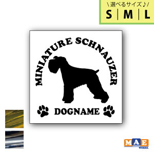 yIׂ3TCYIz⃁bLJ[ hbOVGbg JbeBOXebJ[ ꖳ ~j`AViEU[   V[ l[ ybg  킢 O }G[NXI