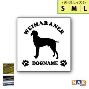 yIׂ3TCYIz⃁bLJ[ hbOVGbg JbeBOXebJ[ ꖳ C}i[   V[ l[ ybg  킢 O }G[NXIWi DS-6