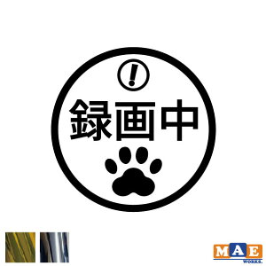 ⃁bLJ[ REC hCuR[_[ JbeBOXebJ[ Vv   V[  ^] h~ ^ Be ̖h~ }G[NXIWi rec-04m