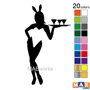 S20F ZNV[ XebJ[ VGbg JbeBOXebJ[  oCN wbg c[{bNX sexy V[ SL-I08