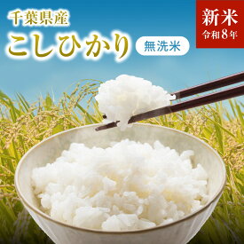 【新米・令和8年産】一等米 コシヒカリ 千葉県産100％ 房の黄金米 単一原料米 米 お米 無洗米 白米 5キロ 10キロ 15キロ 20キロ こしひかり 送料無料 おにぎり お弁当 冷めてもおいしい 米 一等米新米 二度磨き 粒選別 受注後精米 乾式無洗米