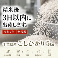 【新米・令和7年・令和8年】一等米 コシヒカリ 千葉県産100％ 多古米 いすみ米 房の黄金米 単一原料米 米…