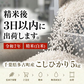 【新米・令和7年・令和8年】一等米 コシヒカリ 千葉県産100％ 多古米 いすみ米 房の黄金米 単一原料米 米 お米 無洗米 白米 5キロ 10キロ 15キロ 20キロ こしひかり 送料無料 おにぎり お弁当 冷めてもおいしい 米 一等米 二度磨き 粒選別 乾式無洗米 令和7年産も販売中