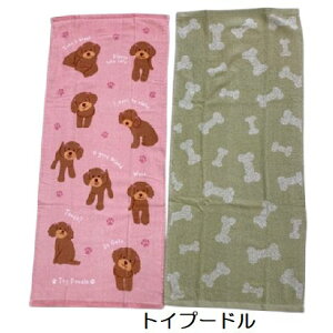 Aj} tFCX^I 2g 34×80cm Ⴂ vg WK[h   Č gCv[h t`u 2025