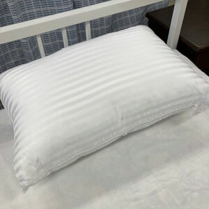 zeX^C炩^b`zedl܂43×63cmJo[͂Ă܂2025