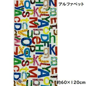 oX^I ͂؂ނ CNWFbg  60×120cm V[O ʔoX^I 2025