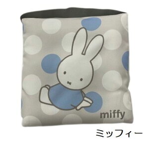 XN[NbV St LN^[ 30×30×5cm LN^[NbV V[gNbV w NbV zc _CJbg ct ۈ牀 wZ vZX X[p[}I ~