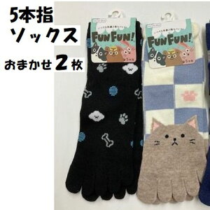 5�{�w �\�b�N�X 2�� �Z�b�g �ȍ� �w�l �\�b�N�X 2���Z�b�g ���킢�� �A�j�}�� ���� �t�����[ �N���[�\�b�N�X ���J���[ ���܂��� �t�� �w�l�\�b�N�X ���f�B�[�X �\�b�N�X 2025����