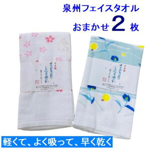 K[[^I ܂ 2Zbg B^I tFCX^I { ЖʃK[[tFCX^I ԕ Aj}  ܂ 34×90cm K[[pC 2025