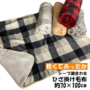 V[v Ђ|ѕz  ܂ 70×100cm tl V[v{A Ђ|  ӂӂ g 킢 L 2025