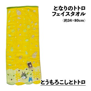 ƂȂ̃gg tFCX^I Wu ̔ӂ ʂ蓹 ̃gl  Ԕ xeN 2025