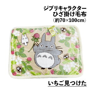 V[vЂ|ѕzƂȂ̃gg ΂݂̒TCY70×100cmWuЂ|ӂӂg킢ѕzgH~ѕzfރNX}Xv[g2025