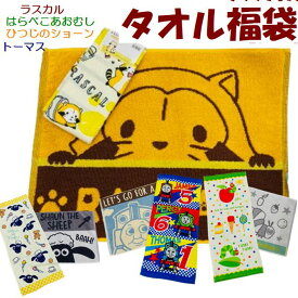 キャラクター福袋 ラスカル はらぺこあおむし トーマス ひつじのショーン タオル福袋 2点 2025福袋 綿バスマット フェイスタオル タオル セット 便利なセット タオル セット プレゼント プチギフト お祝い キャラクター キャラクター福袋