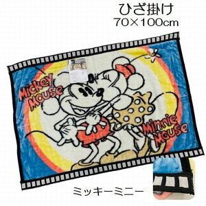 Ђ| LN^[ Ђ|ѕz 70×100cm Ђ|  ӂӂ  uPbg ItBX ~bL[}EX ؂ yRh WCA ~btB[ J[rB 