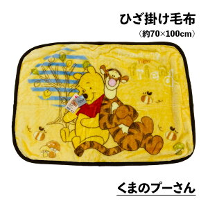 yX[p[Z[zzЂ|ѕz Xk[s[ vZX ܂̃v[ S3 70×100cm Ђ|  ӂӂ  uPbg ItBX LN^[ q Mtg v[