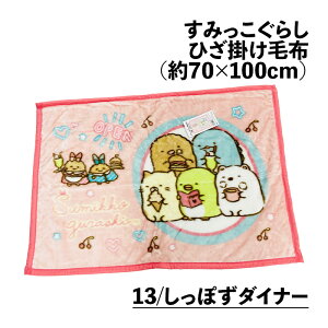 Ђ|ѕz ݂炵 sN u[ 70×100cm j[}C[ Ђ|  ӂӂ  uPbg ݂R炵 킢 2025