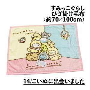 Ђ|ѕz ݂炵 sN u[ 70×100cm j[}C[ Ђ|  ӂӂ  uPbg ݂R炵 킢 2025