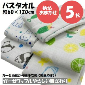 K[[ oX^I Ж K[[ bt 5Zbg 60×120cm K[[^I oX^I Ԃ xr[ K[[bt ܂ A\[g^I  킢 K[[ qǂ ₷