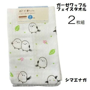 tFCX^I  2g Zbg Ԃ xr[ Ж K[[ bt pC Mtg v[g 킢 w  ܂ OX^[ 2025 