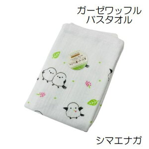 K[[ oX^I 60×120cm Ԃ xr[  C V c K[[ 1  1 3 5 Ж K[[ bt K[[^I Mtg v[g 킢 OX^[ 2025