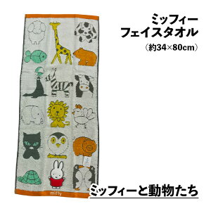 ~btB[ tFCX^I 34×80cm Vw  tFCX^I RۖhLH V[O Q 2025