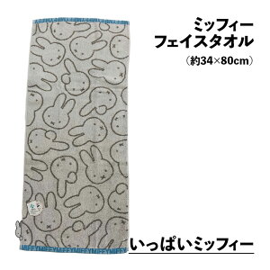 ~btB[ tFCX^I 34×80cm Vw  tFCX^I RۖhLH V[O Q 2025