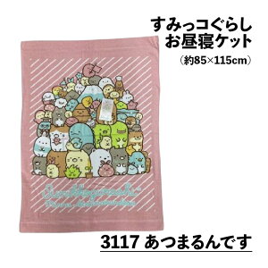 QPbg݂R炵85×115cmn[tTCY^IPbgqLN^[ۈ牀2025