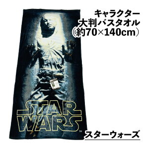 r[`^I LN^[ oX^I ʃJ[ fBYj[唻oX^I 70×140cm r[`oX^I W[oX^I ~bL[}EX X^[EH[Y }[x 唻oX^I 