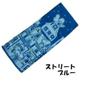 tFCX^I Xk[s[  34×80cm 킢 샊rO @^I 2025