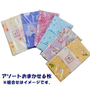 ʂ 6Zbg ԕ  FC { Y ʂ 킢 ԕ ʔ K[[ d d {@ 100% [ 2025 ^I