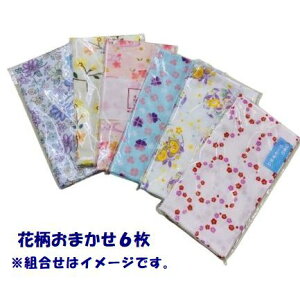 ʂ 6Zbg ԕ  FC { Y ʂ 킢 ԕ ʔ K[[ d d {@ 100% [ 2025 ^I