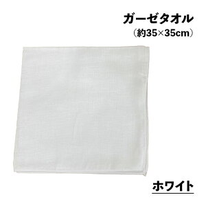 {dK[[nJ`nJ[36×36cm2dK[[nJ`͂񂩂}XN}XNޗzCgnJ`悾@₳炩͂񂩂2025