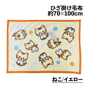 Ђ|ѕz NN Aj} 킭킭ɂ܂   L ˂ 70×100cm tl Ђ|  ӂӂ  uPbg ItBX Č  }Vo lR 킢 y y