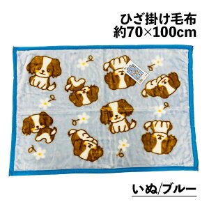 ひざ掛け毛布 ワクワク アニマル わくわくあにまる 犬 いぬ 猫 ねこ 70×100cm フランネル ひざ掛け おしゃれ ふわふわ 会社 ブランケット オフィス 柴犬 豆柴 マメシバ ネコ かわいい 軽い 軽量
