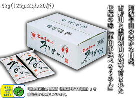 【徳島県　特産品】半田手延べそうめん 光印5kg 小分けタイプ 125gx2束x20袋 太い麺線 太麺 強いコシ つるりとした食感 素麺 ソウメン 御祝 誕生日 内祝 仏事 お取り寄せ 詰め合わせ プレゼント 贈答用