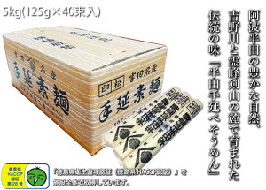 【徳島県 特産品】半田手延べそうめん 5kg 太い麺線 太麺 強いコシ つるりとした食感 素麺 ソウメン 御祝 誕生日 内祝 仏事 お取り寄せ 詰め合わせ プレゼント 贈答用