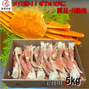 yƖpz{킢Ɂ@5kg@{C@ZNV@Ⓚ@HKi@gǂ@YC@YCKj@킢@Ɂ@I@̓@̓@Ε