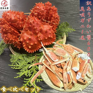 yIZbgzԍKj1@YCKj܂600g@2Hה׃Zbg@ԍ炪ɖ450`550gTCY@{Cς݁@Ⓚ@킢Ɂ@킢@YC@I@Ɂ@niTLKj@niTL@