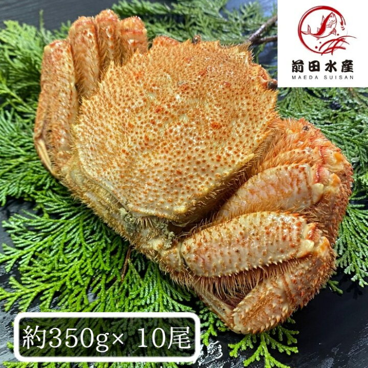 楽天市場】【北海道産】毛蟹 10尾セット（1尾約300g） ボイル済み  