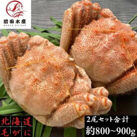 【8999円でご購入可能！年末早割クーポン配布】【訳あり】北海道産　毛蟹　2尾セット（合計約800-900g分）　訳あり　付け足　足折れ　1尾400g前後サイズ　　ボイル　冷凍　毛ガニ　けがに　蟹　かに　道産品　お歳暮　お祝い　お取り寄せ