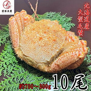 yMtgz^ъI@10i700-800gTCYj@kCY@{C@t@ꕔ󂠂@Ⓚ@@Ε@̓@̓@t[hX@ъI@уKj@