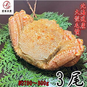 yMtgIz^ъI@3i700-800gTCYj@kCY@{C@t@ꕔ󂠂@Ⓚ@@Ε@̓@̓@t[hX@ъI@уKj@
