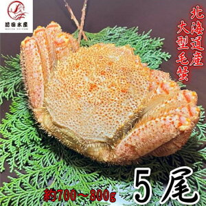 yMtgz^ъI@5i700-800gTCYj@kCY@{C@t@ꕔ󂠂@Ⓚ@@Ε@̓@̓@t[hX@ъI@уKj@