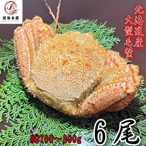 yMtgz^ъI@6i700-800gTCYj@kCY@{C@t@ꕔ󂠂@Ⓚ@@Ε@̓@̓@t[hX@ъI@уKj@