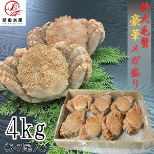 yKIIz@ъI@4kgi5-7j@{Cς݁@Ⓚ@Ɩp̂܂ܔ܂@уKj@Ɂ@тɁ@I@Ɂ@Yi@Ε@j@̓@̓@~