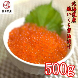 ݖЂ@500gpbN@Ⓚ@Hgp@kCY@@CN@CN@ϔ@@Ε@@j@j@̓@̓@v[g