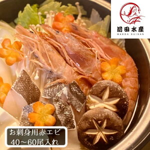 ykCzhgp@ԃGr@Ղ40`60I@2kg@2LTCY@Ⓚ@с@CV@ځ@@Ε@̓@̓