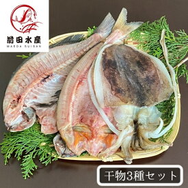 楽天市場 メジナ 食品 の通販
