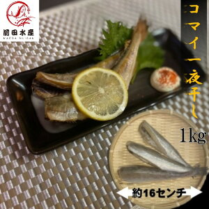 ykCYzR}C銱@1kgi10`16j@Ⓚ@kCԊI@ق₢̈銱ǂł߁I
